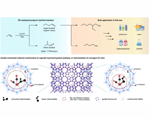 Scientists from institute of coal chemistry proposed a new strategy to achieve ultra-high regioselectivity in olefin hydroformylation