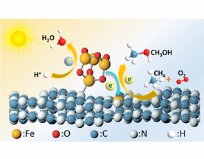 Iron Oxide Clusters as Electron Donors Under Light Enhance Oxygen Reduction Kinetics at Atomically Dispersed Fe for Photocatalytic CH4 Partial Oxidation